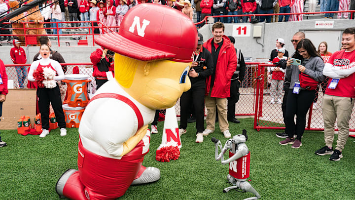Nebraska mascot Lil' Red entertains the crowd from the sideline during the the fourth quarter of a football game against the Northwestern Wildcats at Memorial Stadium. Nebraska mascot Lil' Red entertains the crowd from the sideline during the the fourth quarter of a football game against the Northwestern Wildcats at Memorial Stadium.