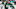 NY Jets, Zach Wilson NY Jets, Zach Wilson