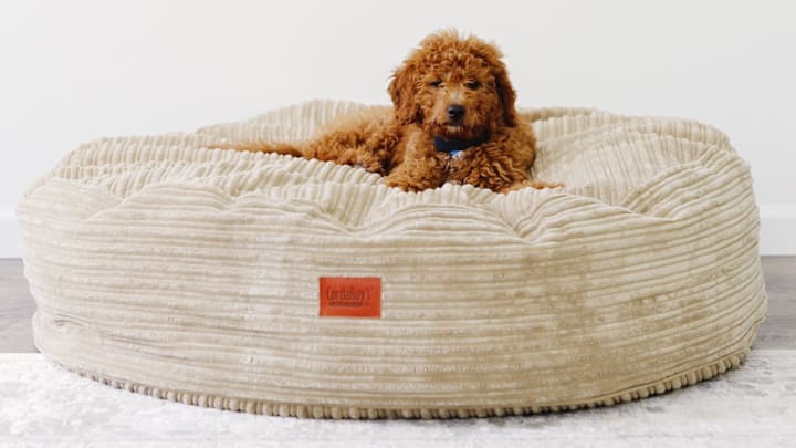 Pamper Your Pet on “Love Your Pet” Day (2.20): The Ultimate Bed From cordaroys!
