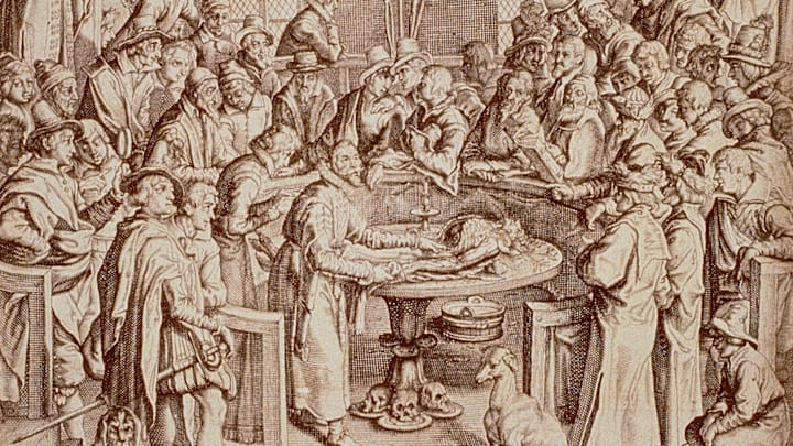 Dissection of a Human Corpse