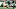 NY Jets NY Jets
