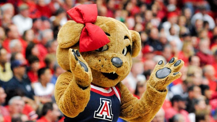 Mar 2, 2014; Tucson, AZ, USA; Arizona Wildcats mascot Wilma walks on the court during a timeout during the first half against the Stanford Cardinal at McKale Center. Arizona won 79-66. Mandatory Credit: Casey Sapio-Imagn Images