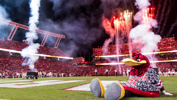 Nov 23, 2024; Columbia, South Carolina, USA; South Carolina Gamecocks mascot Cocky sits on the field between the third and fourth quarters of a game between the South Carolina Gamecocks and Wofford Terriers at Williams-Brice Stadium. Mandatory Credit: Jeff Blake-Imagn Images