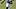 colorado buffaloes deion sanders coach prime cu buffs football quanell farrakhan jr wide receiver four-star blue-chip recruit colorado buffaloes deion sanders coach prime cu buffs football quanell farrakhan jr wide receiver four-star blue-chip recruit