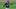 Chicago White Sox right fielder Daniel Palka Chicago White Sox right fielder Daniel Palka