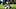 Michigan State linebacker Jordan Hall stops Michigan quarterback Bryce Underwood last season at Spartan Stadium. Michigan State linebacker Jordan Hall stops Michigan quarterback Bryce Underwood last season at Spartan Stadium.