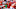 justin fields, chicago bears justin fields, chicago bears