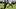 Eastern Michigan Eagles quarterback Noah Kim. Eastern Michigan Eagles quarterback Noah Kim.