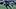 Chicago Bears cornerback Malik Muhammad. Chicago Bears cornerback Malik Muhammad.