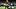 Fantasy Football, New Orleans Saints, Chris Olave Fantasy Football, New Orleans Saints, Chris Olave