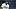 Tampa Bay Rays outfielder Chandler Simpson Tampa Bay Rays outfielder Chandler Simpson