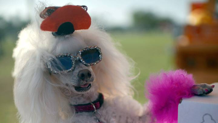 Haute Dog Howl'oween Parade Haute Dog Howl'oween Parade