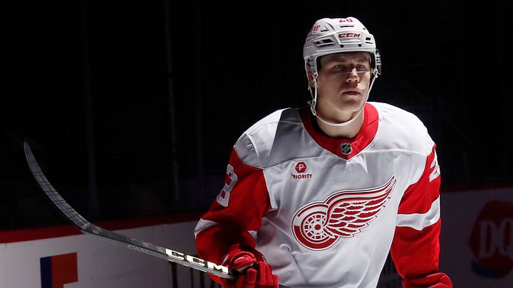 Oct 1, 2024; Pittsburgh, Pennsylvania, USA; Detroit Red Wings right wing Michael Brandsegg-NygŒrd (28) takes the ice against the Pittsburgh Penguins during the first period at PPG Paints Arena. Mandatory Credit: Charles LeClaire-Imagn Images Oct 1, 2024; Pittsburgh, Pennsylvania, USA; Detroit Red Wings right wing Michael Brandsegg-NygŒrd (28) takes the ice against the Pittsburgh Penguins during the first period at PPG Paints Arena. Mandatory Credit: Charles LeClaire-Imagn Images