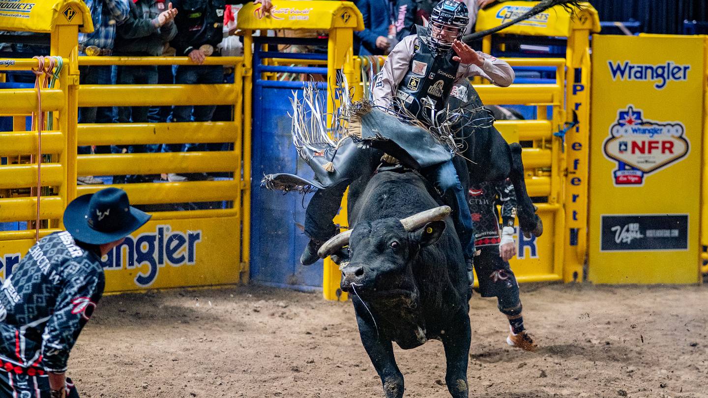 Pendleton Xtreme Bulls Tour Finale Intensifies Battle for NFR Qualifications
