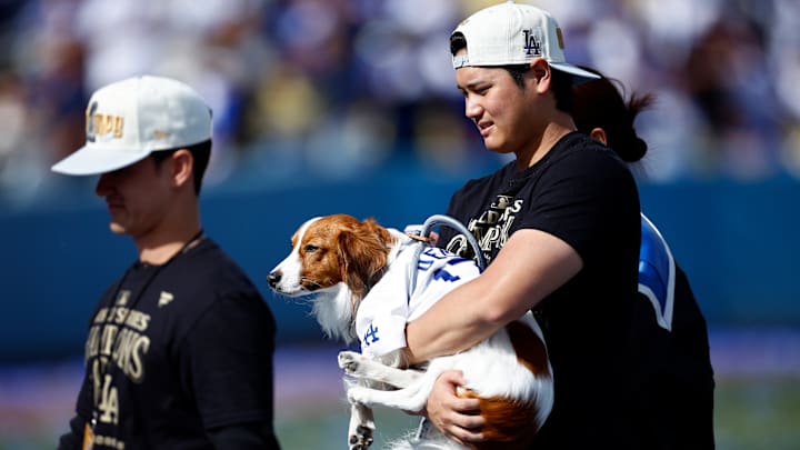 Los Angeles Dodgers World Series Celebration