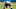 Carolina Panthers Carolina Panthers