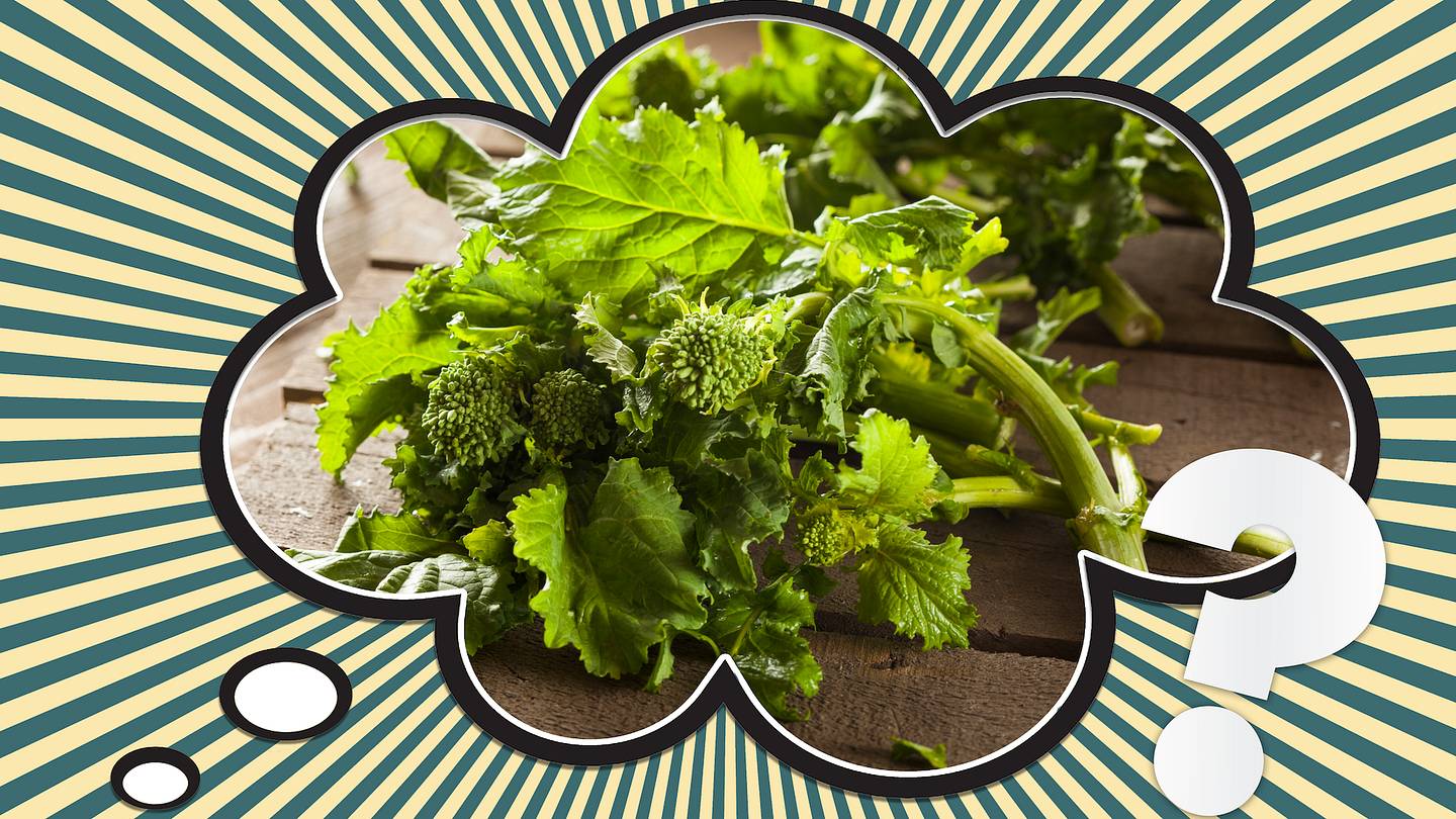 Broccoli Rabe Png What is Broccoli Rabe, Anyway?