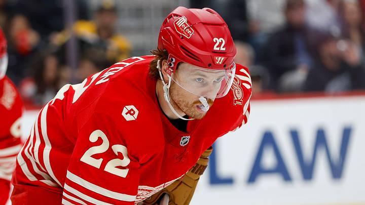 Mar 21, 2026; Detroit, Michigan, USA; Detroit Red Wings center Mason Appleton (22) looks on during the first period against the Boston Bruins at Little Caesars Arena. Mandatory Credit: Brian Bradshaw Sevald-Imagn Images