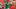 Mexico v USA - Friendly Match U17 Mexico v USA - Friendly Match U17