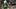 Sep 26, 2026; Miami Gardens, Florida, USA; Miami Hurricanes quarterback Darian Mensah (10) looks on from the field against th
