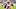 New England Patriots running back Rhamondre Stevenson, Fantasy Football New England Patriots running back Rhamondre Stevenson, Fantasy Football