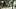 DARYLDIXON_407_AM_1030_00085-RT DARYLDIXON_407_AM_1030_00085-RT