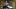 HOHH_102_Unit_03329R HOHH_102_Unit_03329R