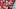 Arizona Cardinals TE Tip Reiman Arizona Cardinals TE Tip Reiman