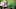 TWD_401_GP_0506_0325