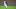 Austin Riley Austin Riley