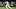 Tampa Bay Rays center fielder Cedric Mullins bunting Tampa Bay Rays center fielder Cedric Mullins bunting