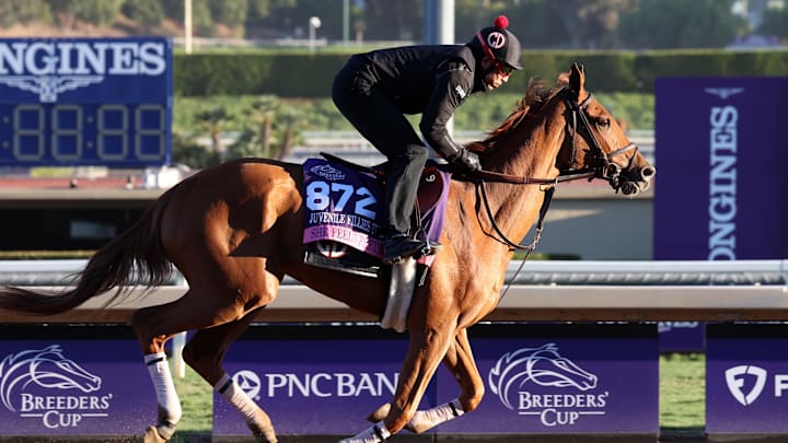 Nov 2, 2023; Santa Anita, CA, USA;  She Feels Pretty exercises during the Breeders' Cup morning workouts at Santa Anita Park. 