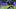 Myles Garrett, Los Angeles Rams Myles Garrett, Los Angeles Rams