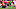 Sam Hubbard, Patrick Mahomes Sam Hubbard, Patrick Mahomes