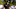 PGA Championship dark horse picks, sleepers PGA Championship dark horse picks, sleepers