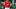 Nigel Winterburn Nigel Winterburn