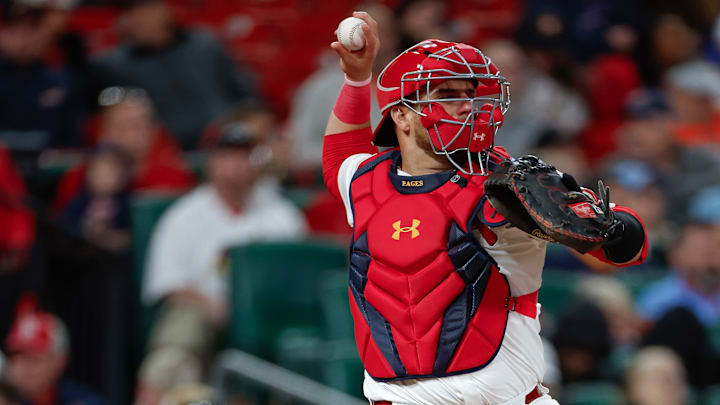 Houston Astros v St. Louis Cardinals