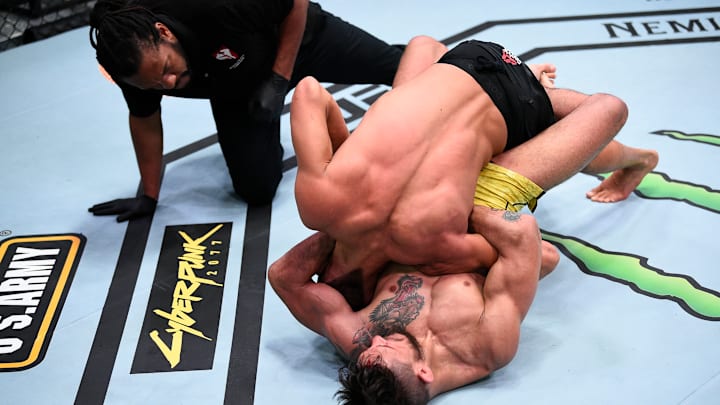 Referee Herb Dean looks on during a UFC fight