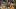 Vegas Golden Knights right wing Pavel Dorofeyev skating Vegas Golden Knights right wing Pavel Dorofeyev skating