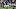 Baltimore Ravens, Tyler Huntley Baltimore Ravens, Tyler Huntley