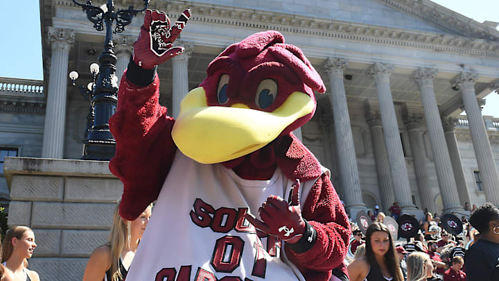 South Carolina Gamecocks mascot Cocky