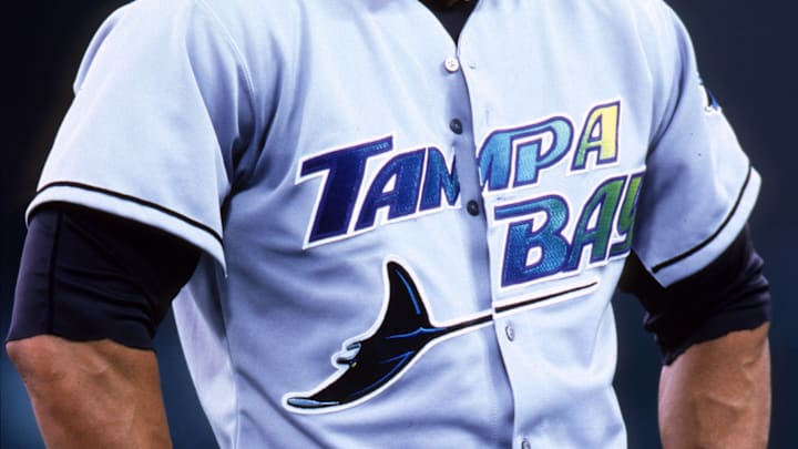 Mix of Old with New is how to describe the Rays 25th logo.