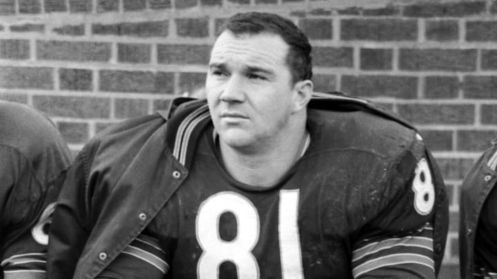Chicago Bears