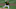 Pittsburgh Pirates starting pitcher Bubba Chandler