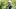 New England Patriots cornerback Christian Gonzalez New England Patriots cornerback Christian Gonzalez
