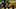Southern Miss Basketball, Fallou Diagne Southern Miss Basketball, Fallou Diagne