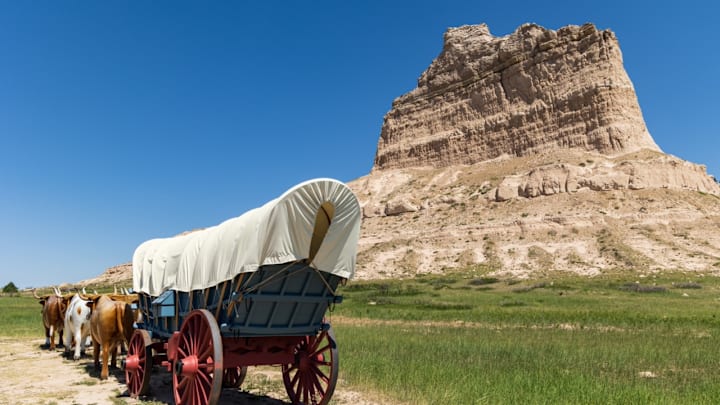 Have you really died of dysentery?