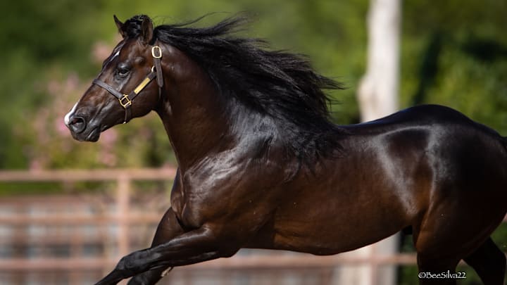 Menage a Tres Menage a Tres