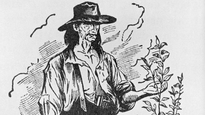 Illustration of Johnny Appleseed Illustration of Johnny Appleseed