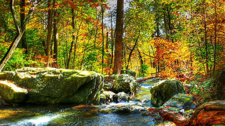 More people get to witness Virginia’s beauty in fall.